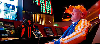 Зеркало Flagman Casino